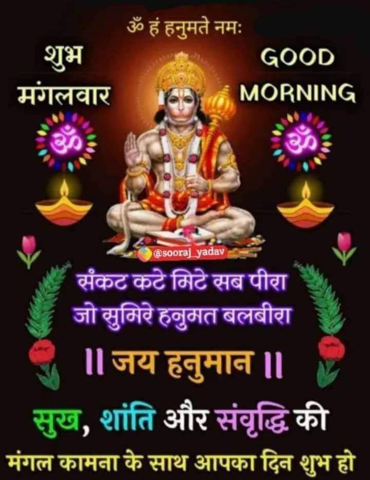 Insurance Agent : Insuraa